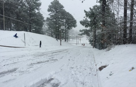 No Days Like Snow Days