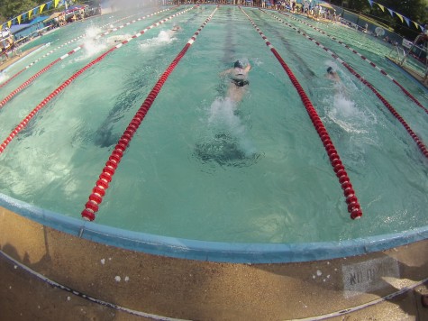 OHS swim teams wrap up successful season at state meet