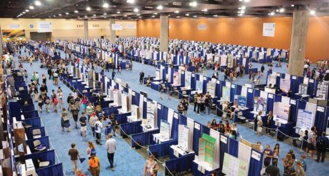 Chao, Laraib show off at international fair