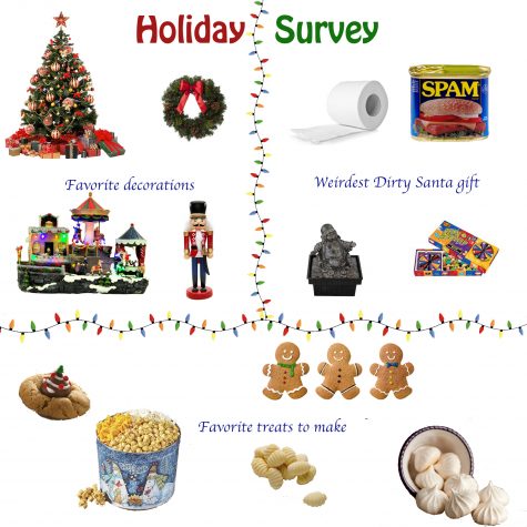 Holiday survey results
