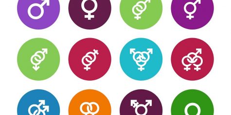 Gender pronouns are important, need to be respected