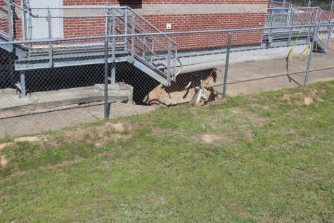 BREAKING NEWS: Sinkhole appears behind OHS football stadium press box