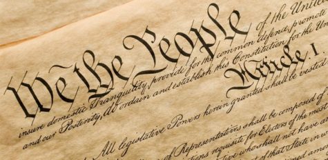 What is the role of government?