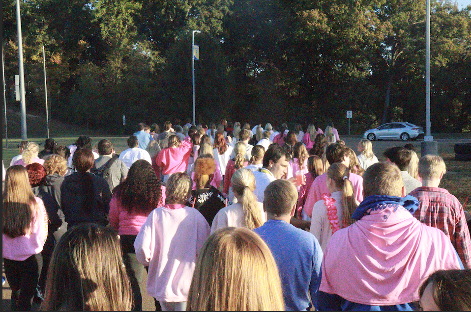 OHS cancer walk honors survivors in district