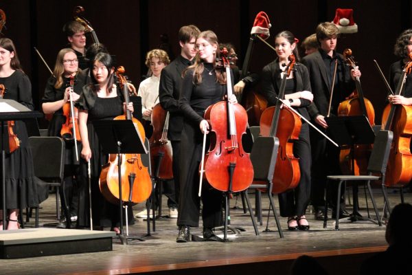 Orchestra performs holiday concert in Ava H. Bonds Auditorium