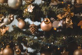 Christmas trees: iconic holiday symbol or environmental irritant?